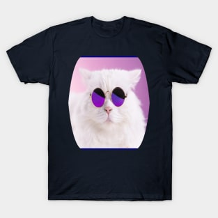 cat meme T-Shirt